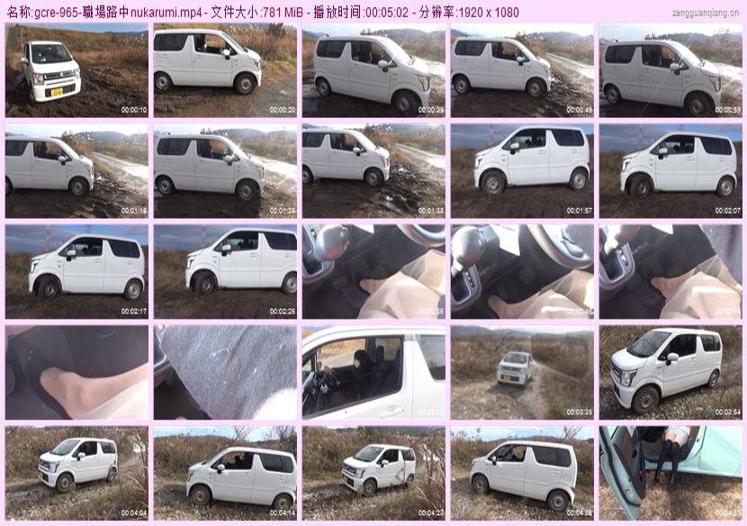 gcre-965
